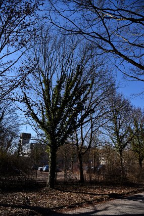 DSC_4102