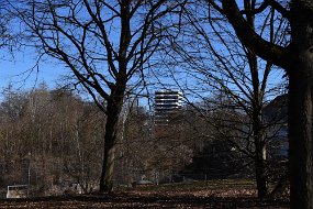 DSC_4105