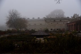 DSC_2492