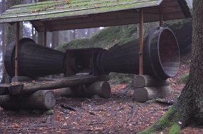 In den Wald hoeren