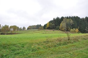 DSC_6717