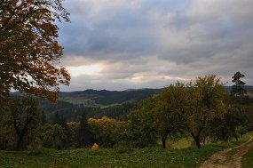 aDSC_6773a