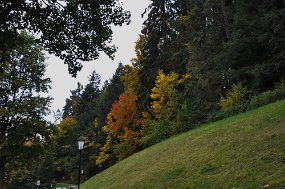 aDSC_6780a