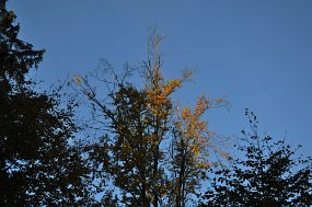 aDSC_6784a