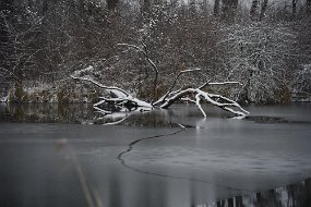 aa7