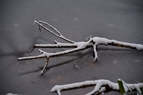 aa9