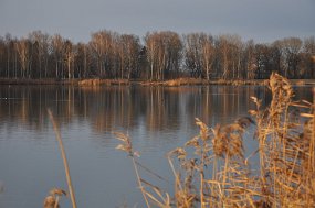 DSC_0582