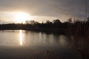 DSC_0583