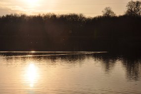 DSC_0629