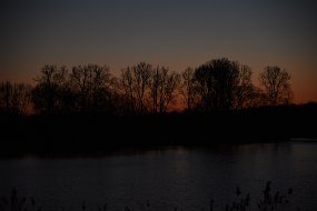 DSC_0540