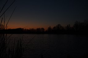 DSC_0597