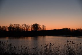 DSC_0600