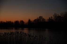 DSC_0625