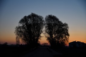 DSC_0658A