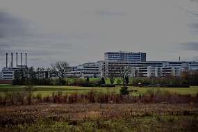 DSC_2695