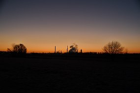 DSC_3961