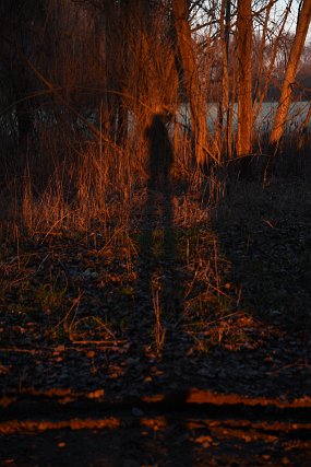 DSC_4069